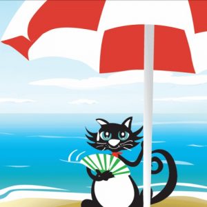 gato-evaristo-praia